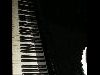 Pianoforte a coda Bechstein - Tastiera